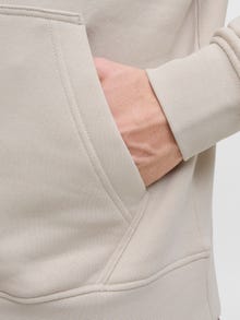 Jack & Jones Printed Hoodie -Moonbeam - 12278789